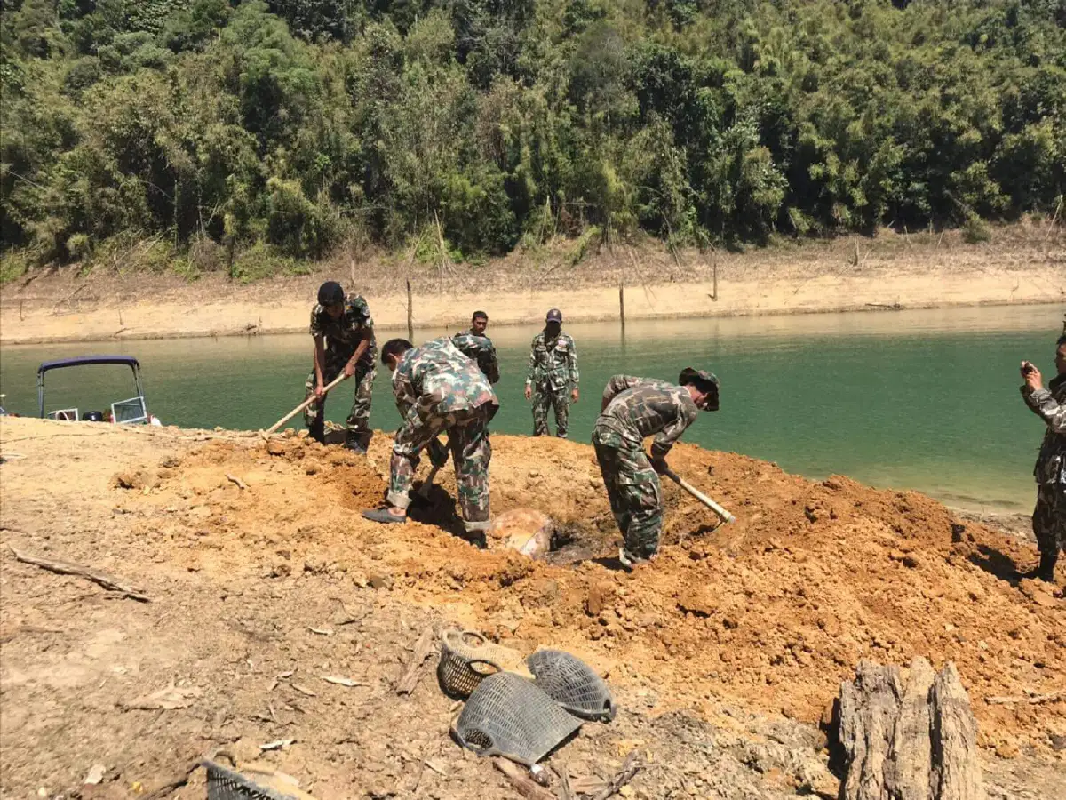 จนท.เชื่อกระทิงป่าเขาสกขวิดกันจนตาย ก่อนถูกชาวบ้านลอบตัดหัว