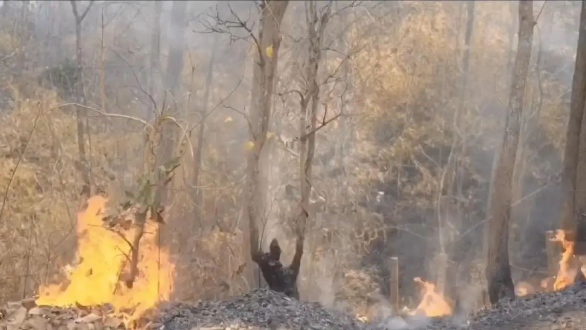 เป๊ก-นิว ลงพื้นที่ติดตามทีมดับไฟป่า ในวันที่เชียงใหม่มีมลพิษติดอันดับ 1 ของโลก (คลิป)