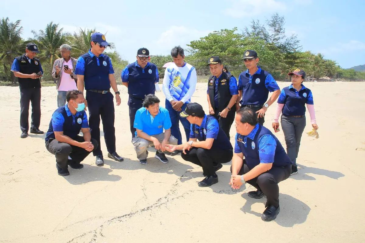 ทช.เผยก้อนน้ำมันที่พบทะเลนครศรีฯ ถูกปล่อยจากเรือ ใช้เวลาจัดการ 2วัน