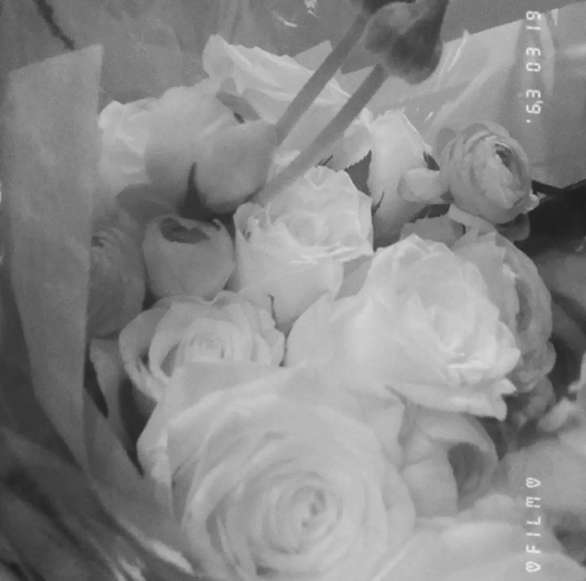 คนโสด 2020 “แตงโม นิดา-นิก คุณาธิป” จบความสัมพันธ์ ด้านฝ่ายชายโพสต์รับผิด