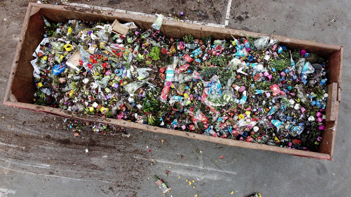 ดัตช์หัวใจสลายทำลายดอกไม้หลายล้านดอก ไวรัสระบาดทำให้ไม่มีใครซื้อ