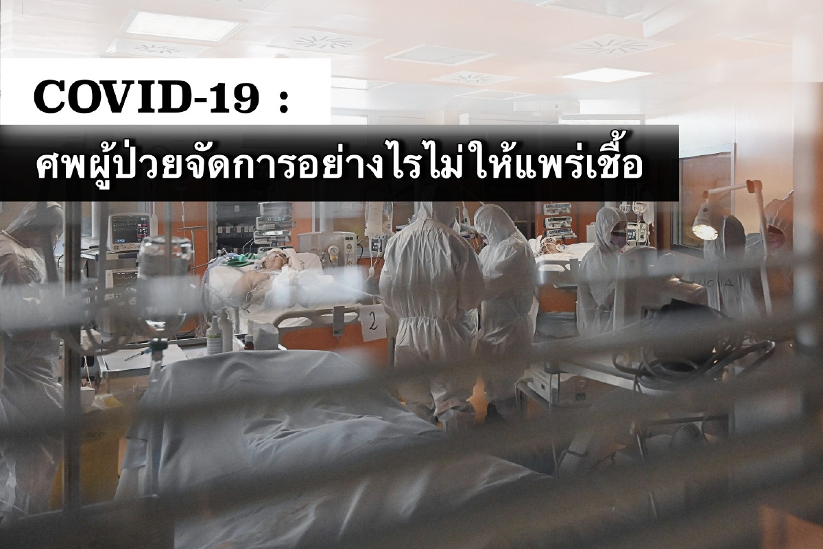 COVID-19 : ศพผู้ป่วยพุทธ-มุสลิม จัดการอย่างไรไม่ให้แพร่เชื้อ COVID-19 : ศพผู้ป่วยพุทธ-มุสลิม จัดการอย่างไรไม่ให้แพร่เชื้อ