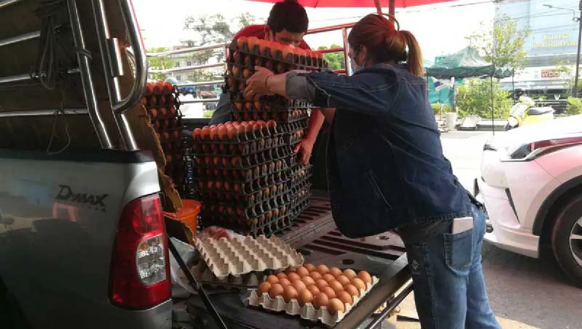 ชาวบ้านจ๊าก!ไข่ไก่คละขนาดใหญ่เมืองสองแควพุ่งแผงละ 150 บาทแล้ว