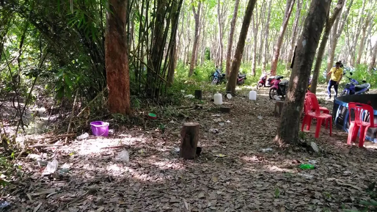 นักพนันไก่ชนไม่หวั่นโควิด-19 ล้อมวงเปิดบ่อนตีไก่เมามันบนภูเขา