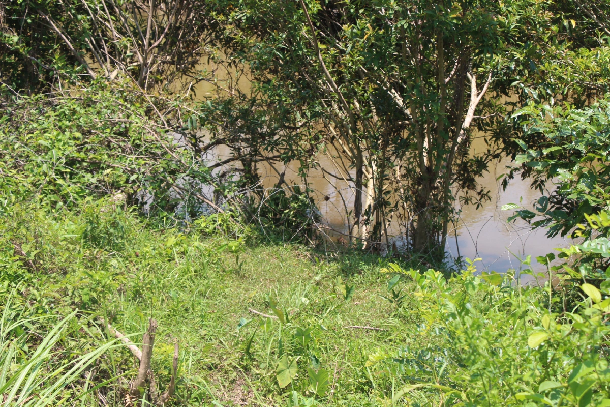 ทหารกำชับกำลังพลคุมเข้มโควิดตามเขตพรมแดนไทย-มาเลเซีย