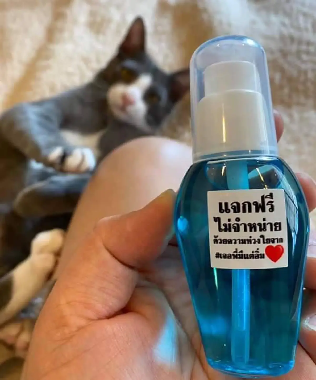 เซลล์แมนสาวนักขายการช่วยเหลือ COVID-19 “พิมลวรรณ ศิลป์วิเศษสรรค์”