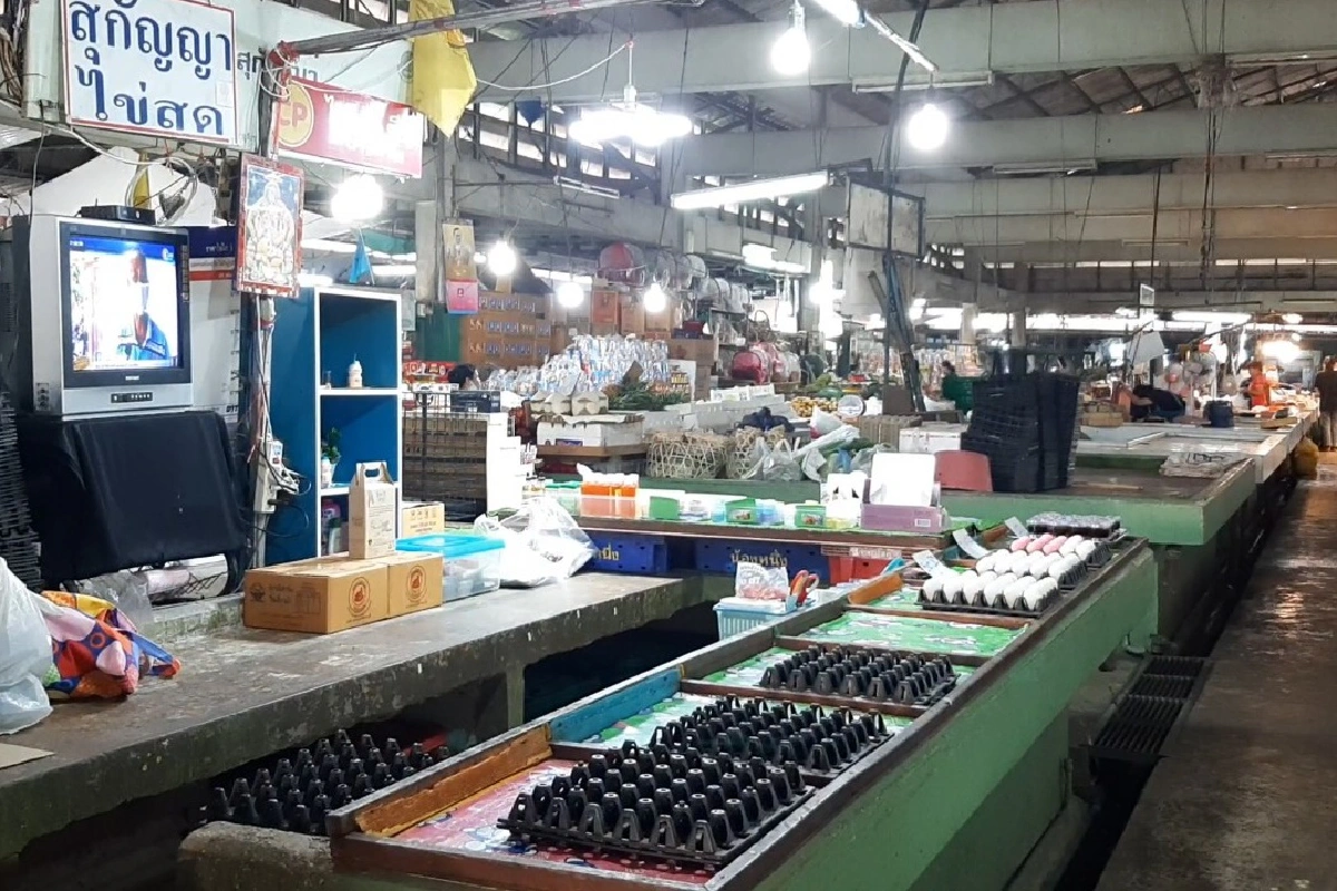  บริษัทค้าส่งแจ้งผู้ขายในตลาดชัยนาท ไข่ไก่ขาดตลาดต้องรอ2สัปดาห์