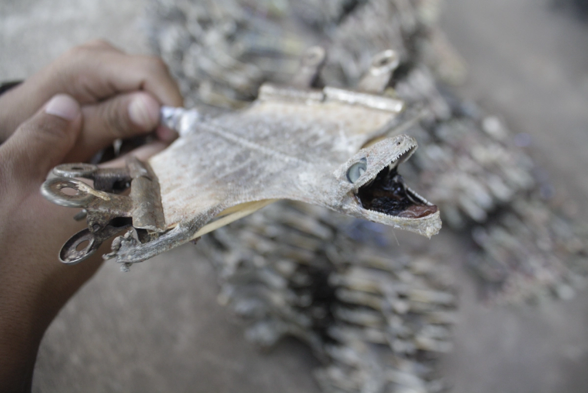 โควิด-19พ่นพิษ!จีนไต้หวันระงับออเดอร์ตุ๊กแกไส้เดือนตากแห้งจากนาหว้า