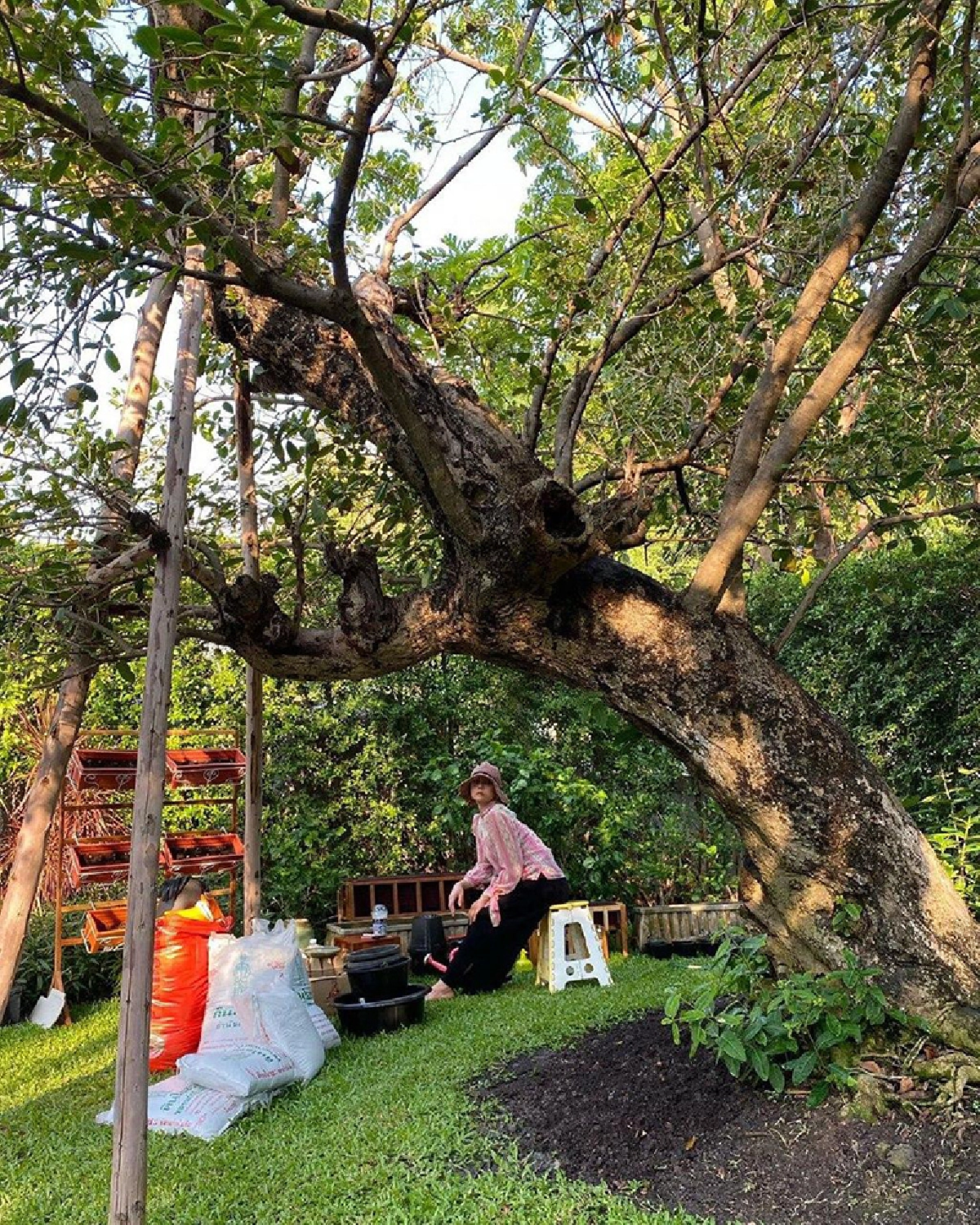 “ตั๊ก บงกช” ลงทุนพังสวนสามี เพื่อปลูกผักสวนครัวที่บ้าน