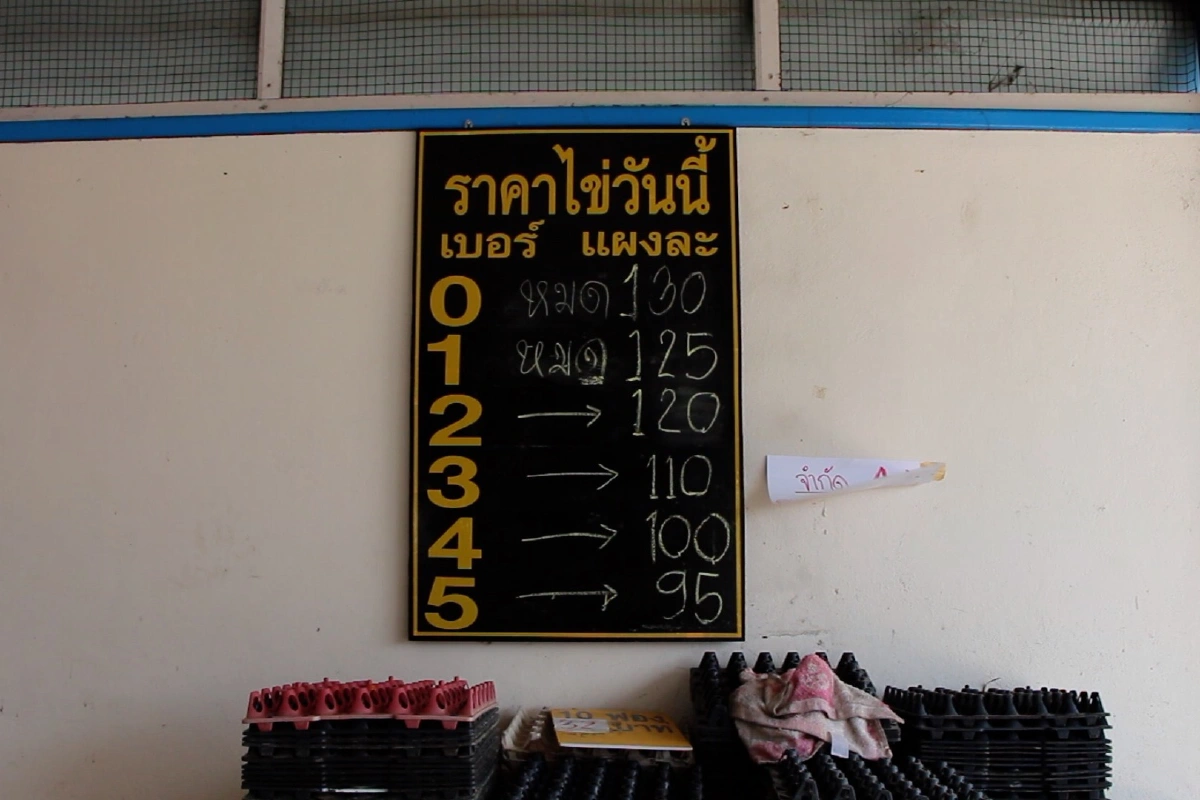 ป้องกันพ่อค้าโก่งราคา ผู้ค้าไข่ไก่จำกัดการซื้อ2แผง/ครอบครัว