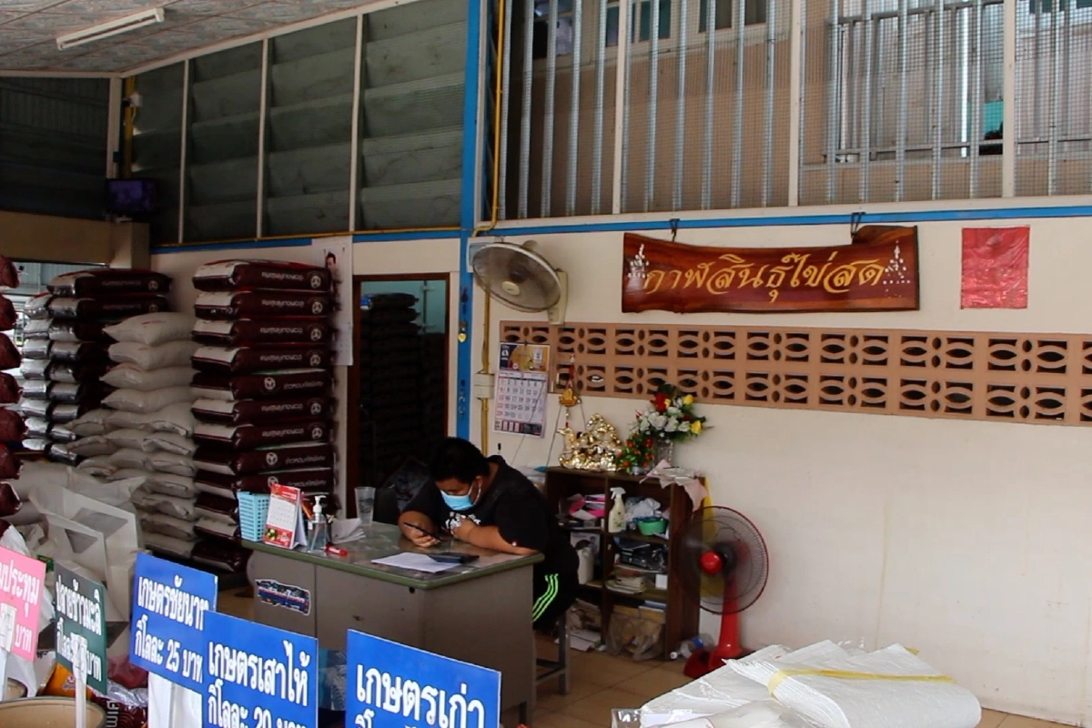 ป้องกันพ่อค้าโก่งราคา ผู้ค้าไข่ไก่จำกัดการซื้อ2แผง/ครอบครัว