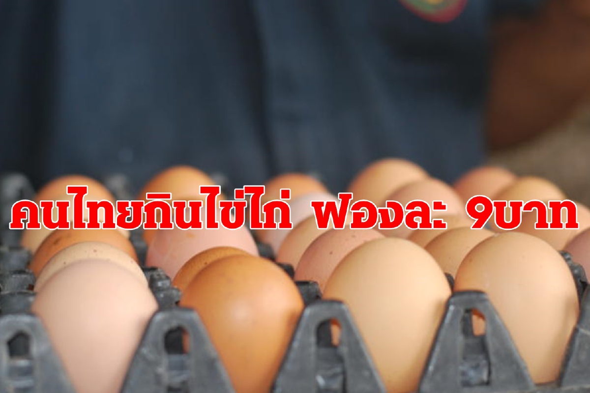 ค่าตัวไข่ไก่ ขายปลีกราคาสูงถึงไตรมาส 3 จากภัยแล้ง-COVID-19 ค่าตัวไข่ไก่ ขายปลีกราคาสูงถึงไตรมาส 3 จากภัยแล้ง-COVID-19