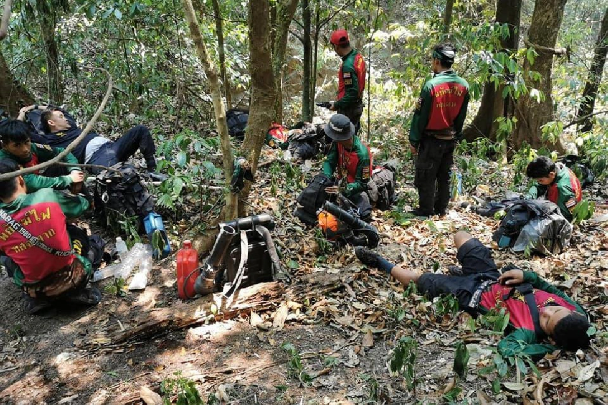 เปิดภาพชุดพยัคฆ์ไฟตากดับไฟป่าอยู่ในพื้นที่นาน14วัน