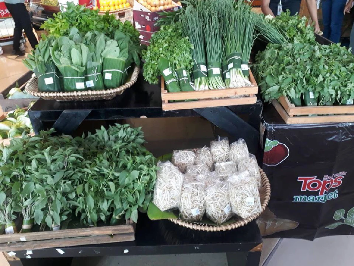 กสศ.เตรียม 74 หลักสูตรสอนแรงงานกลับบ้านชนบทจากผลกระทบโควิด -19