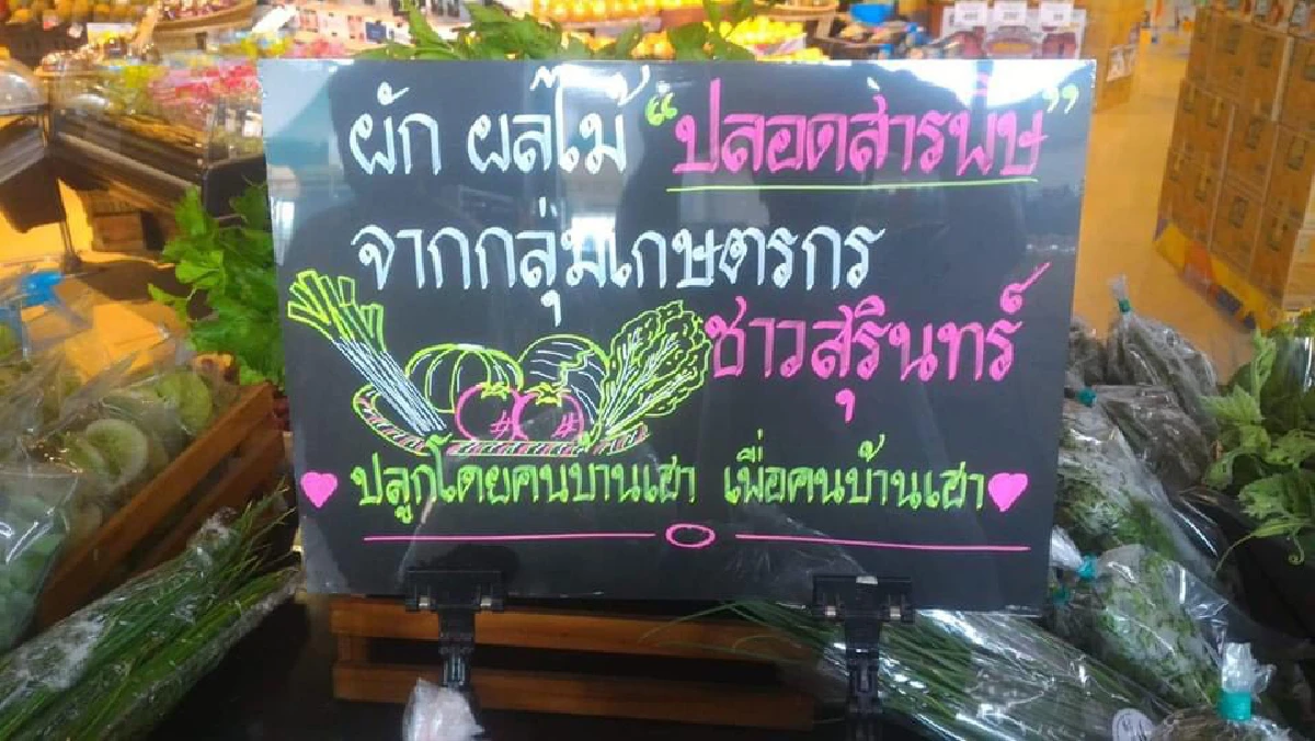 กสศ.เตรียม 74 หลักสูตรสอนแรงงานกลับบ้านชนบทจากผลกระทบโควิด -19