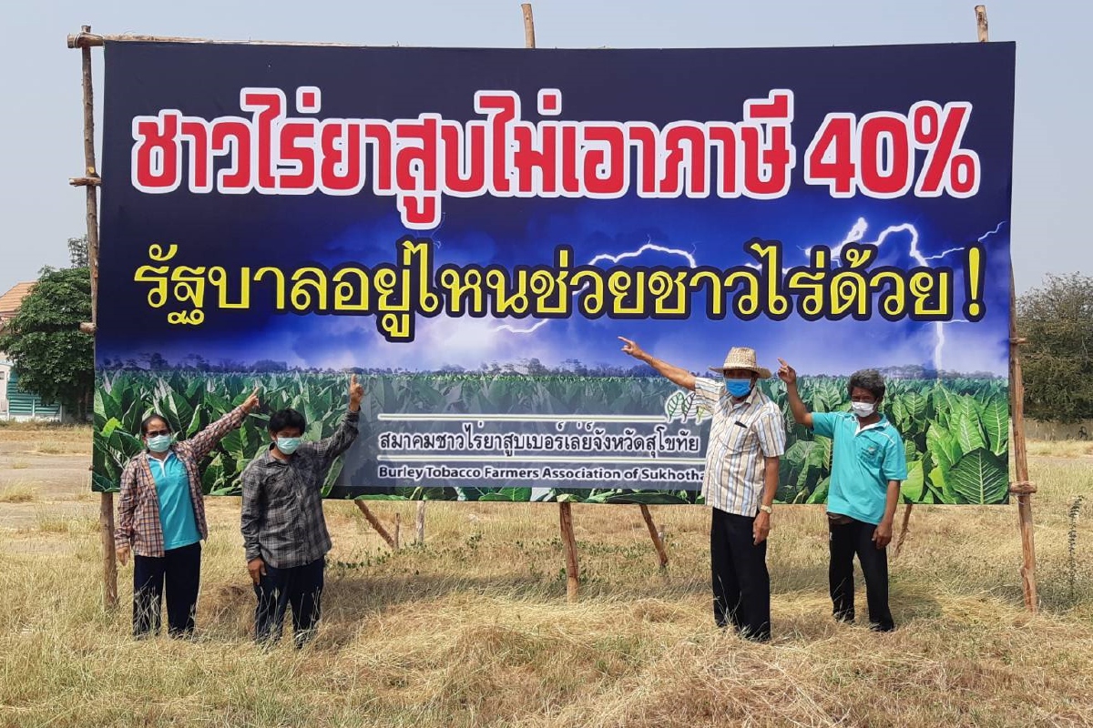 พิษโควิดทุบเศรษฐกิจชุมชน ชาวไร่ยาสูบ ขึ้นป้ายเร่งรัฐเลื่อนภาษีขึ้นบุหรี่ พิษโควิดทุบเศรษฐกิจชุมชน ชาวไร่ยาสูบ ขึ้นป้ายเร่งรัฐเลื่อนภาษีขึ้นบุหรี่