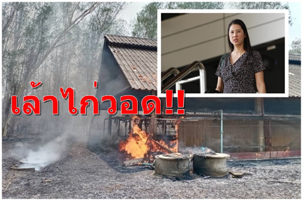 ไฟไหม้เล้าไก่ !! “ปารีณา” โอด เข้าพื้นที่ไม่ได้ เชื่อไม่ใช่ไฟฟ้าลัดวงจร ไฟไหม้เล้าไก่ !! “ปารีณา” โอด เข้าพื้นที่ไม่ได้ เชื่อไม่ใช่ไฟฟ้าลัดวงจร