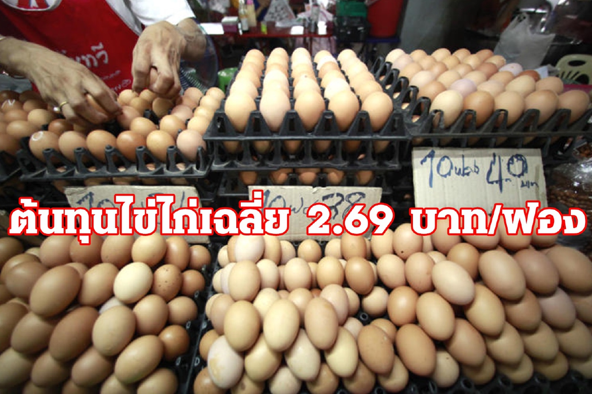 หวั่นปัญหา "ไข่ไก่ล้นตลาด" ตามมา หวั่นปัญหา "ไข่ไก่ล้นตลาด" ตามมา