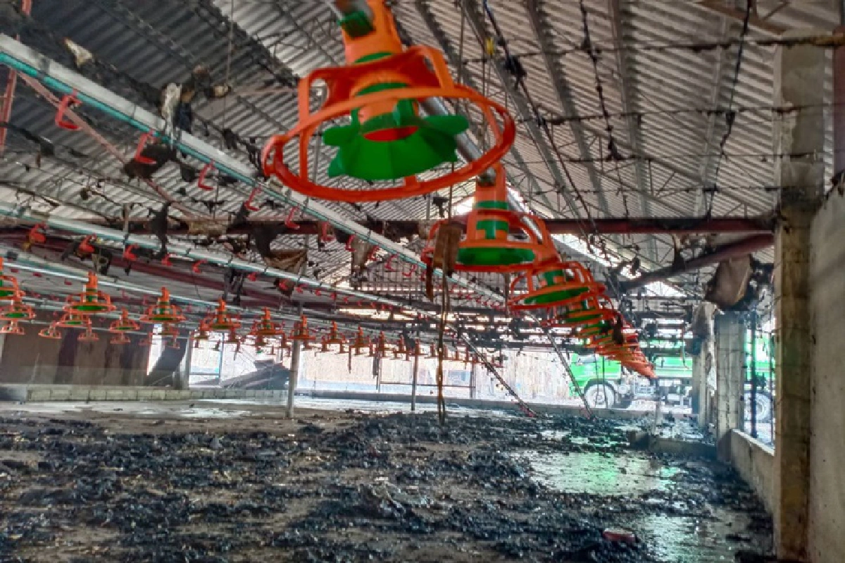 ไฟไหม้เล้าไก่ !! “ปารีณา” โอด เข้าพื้นที่ไม่ได้ เชื่อไม่ใช่ไฟฟ้าลัดวงจร