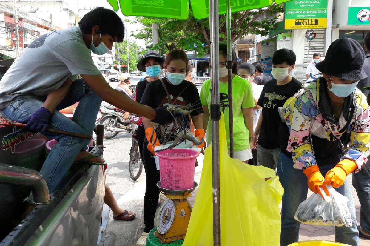 เกษตกรสู้โควิด เลี้ยงกุ้งส่งขายไม่ได้ นำออกมาจำหน่ายราคาถูก เกษตกรสู้โควิด เลี้ยงกุ้งส่งขายไม่ได้ นำออกมาจำหน่ายราคาถูก