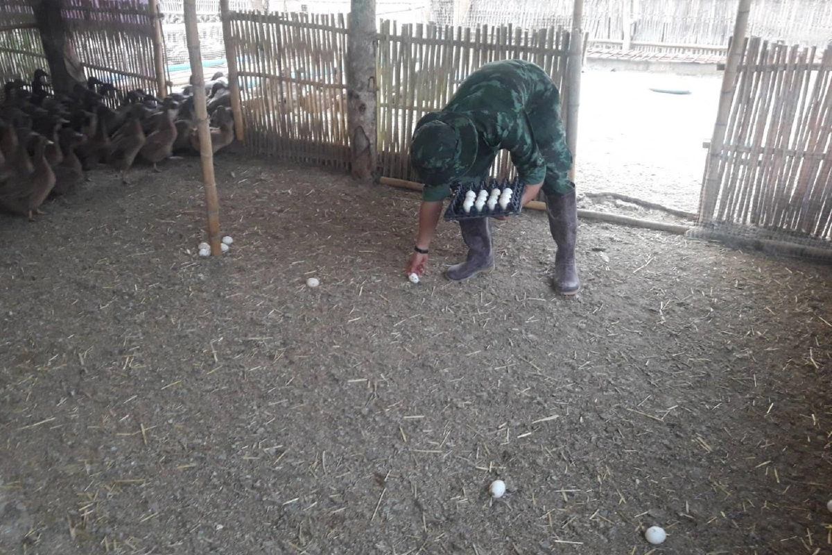 สมเด็จพระกนิษฐาธิราชเจ้า มีพระราชกระแสรับสั่งเรื่อง"ชัยพัฒนาสู้ภัยโควิด"