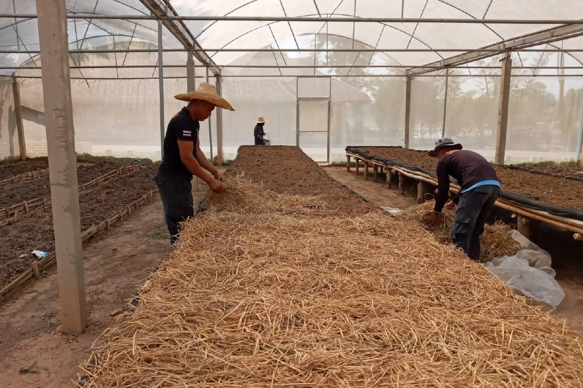 สมเด็จพระกนิษฐาธิราชเจ้า มีพระราชกระแสรับสั่งเรื่อง"ชัยพัฒนาสู้ภัยโควิด"