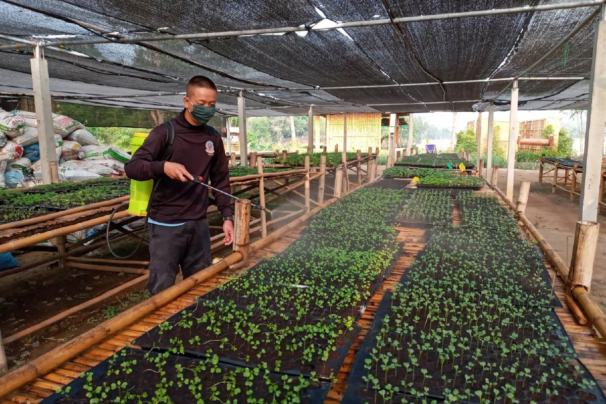 สมเด็จพระกนิษฐาธิราชเจ้า มีพระราชกระแสรับสั่งเรื่อง"ชัยพัฒนาสู้ภัยโควิด"