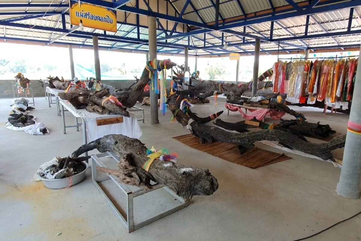 กองสลากเลื่อนวันออกรางวัล เจ้าแม่ตะเคียนทองเหงาไร้ผู้คนขอโชคลาภ