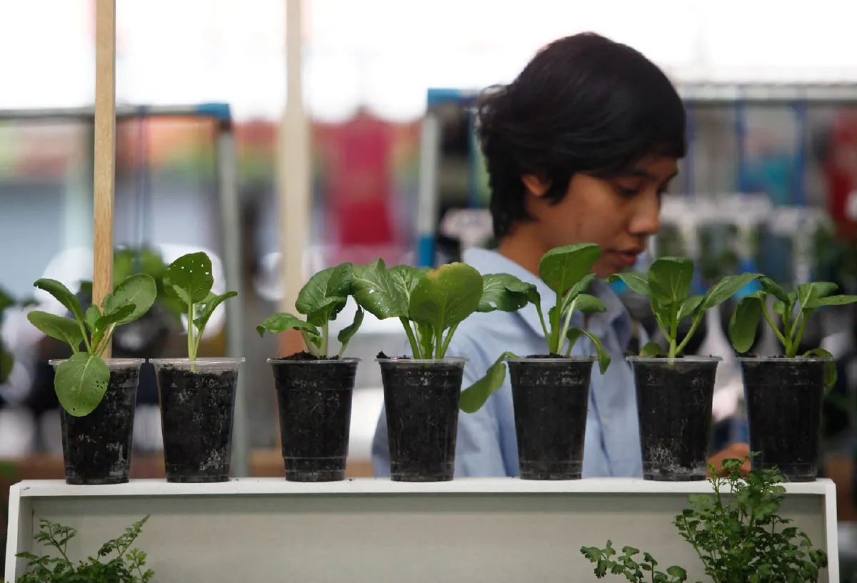 5 เหตุผลดีๆ ที่เราควรปลูกผักไว้กินเอง