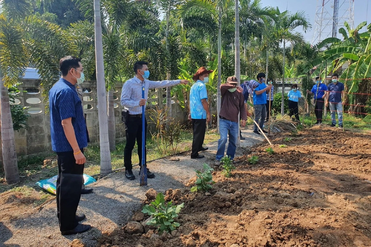 นอภ.ท่าม่วงปลูกผักสวนครัว สร้างแหล่งอาหารสู้โควิด-19