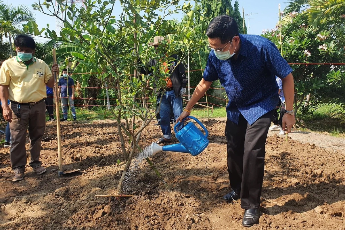 นอภ.ท่าม่วงปลูกผักสวนครัว สร้างแหล่งอาหารสู้โควิด-19