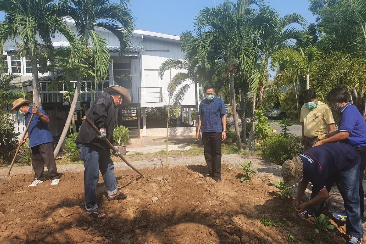 นอภ.ท่าม่วงปลูกผักสวนครัว สร้างแหล่งอาหารสู้โควิด-19