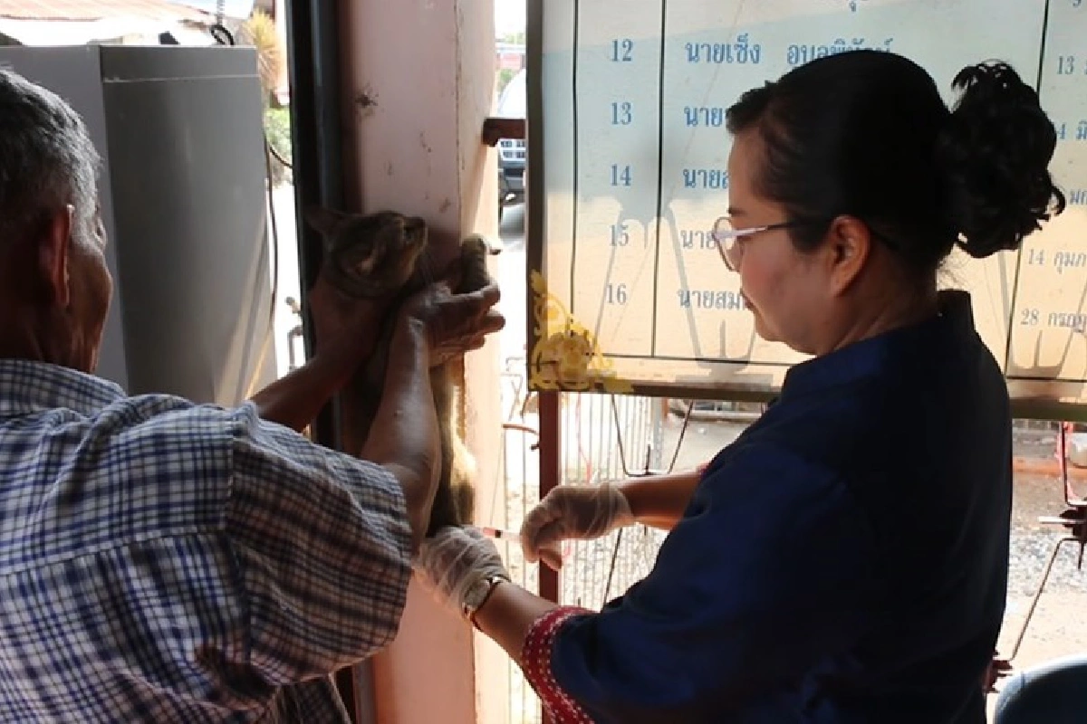 พิษสุนัขบ้าอาละวาดเทศบาลนครขอนแก่น ถูกประกาศเป็นเขตโรคระบาดสัตว์ชั่วคราว