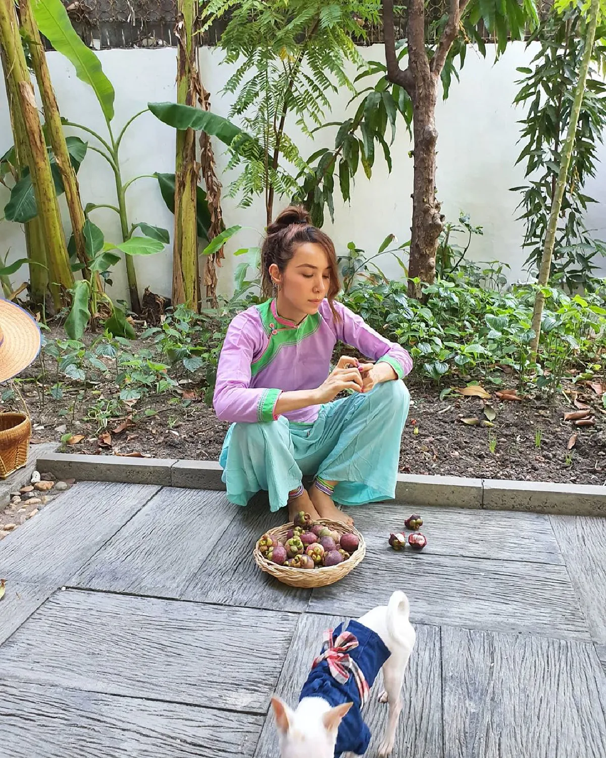 กิจกรรมกักตัวของ ปาล์มมี่ เก็บมังคุดในสวนที่บ้านในกรุงเทพฯออกผลเยอะน่าชื่นใจ 