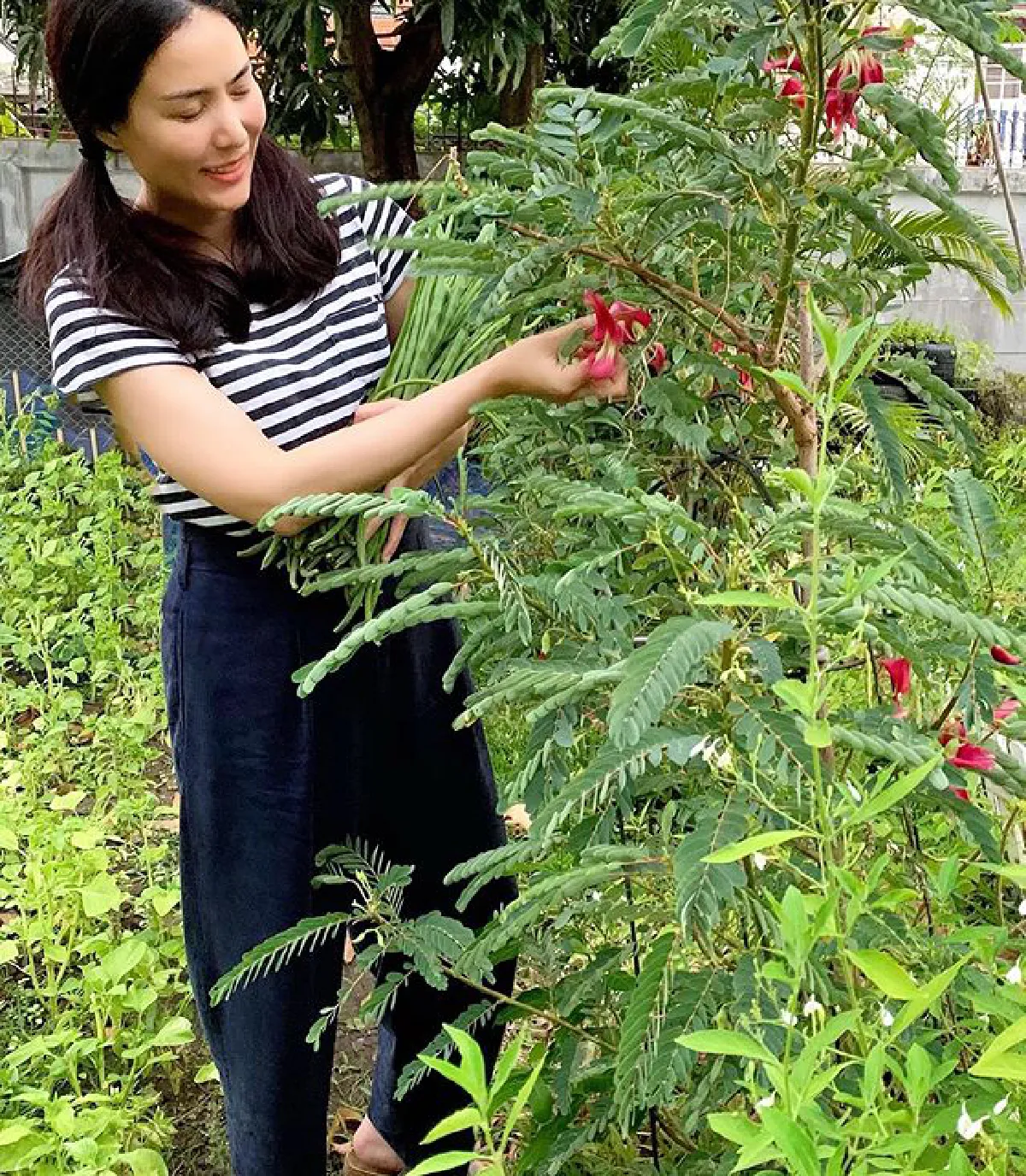 "เชอรี่ เข็มอัปสร" กับชีวิตเรียบง่าย ปลูกผักสวนครัวรอบบ้านสีเขียวสดชื่น