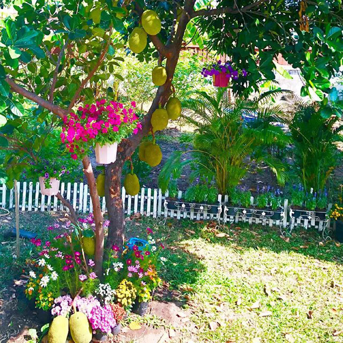 "เชอรี่ เข็มอัปสร" กับชีวิตเรียบง่าย ปลูกผักสวนครัวรอบบ้านสีเขียวสดชื่น