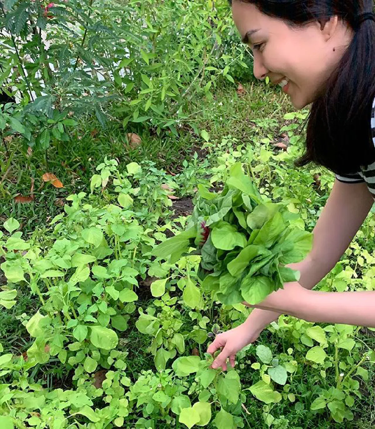 "เชอรี่ เข็มอัปสร" กับชีวิตเรียบง่าย ปลูกผักสวนครัวรอบบ้านสีเขียวสดชื่น