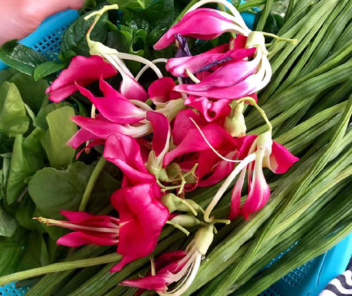 "เชอรี่ เข็มอัปสร" กับชีวิตเรียบง่าย ปลูกผักสวนครัวรอบบ้านสีเขียวสดชื่น