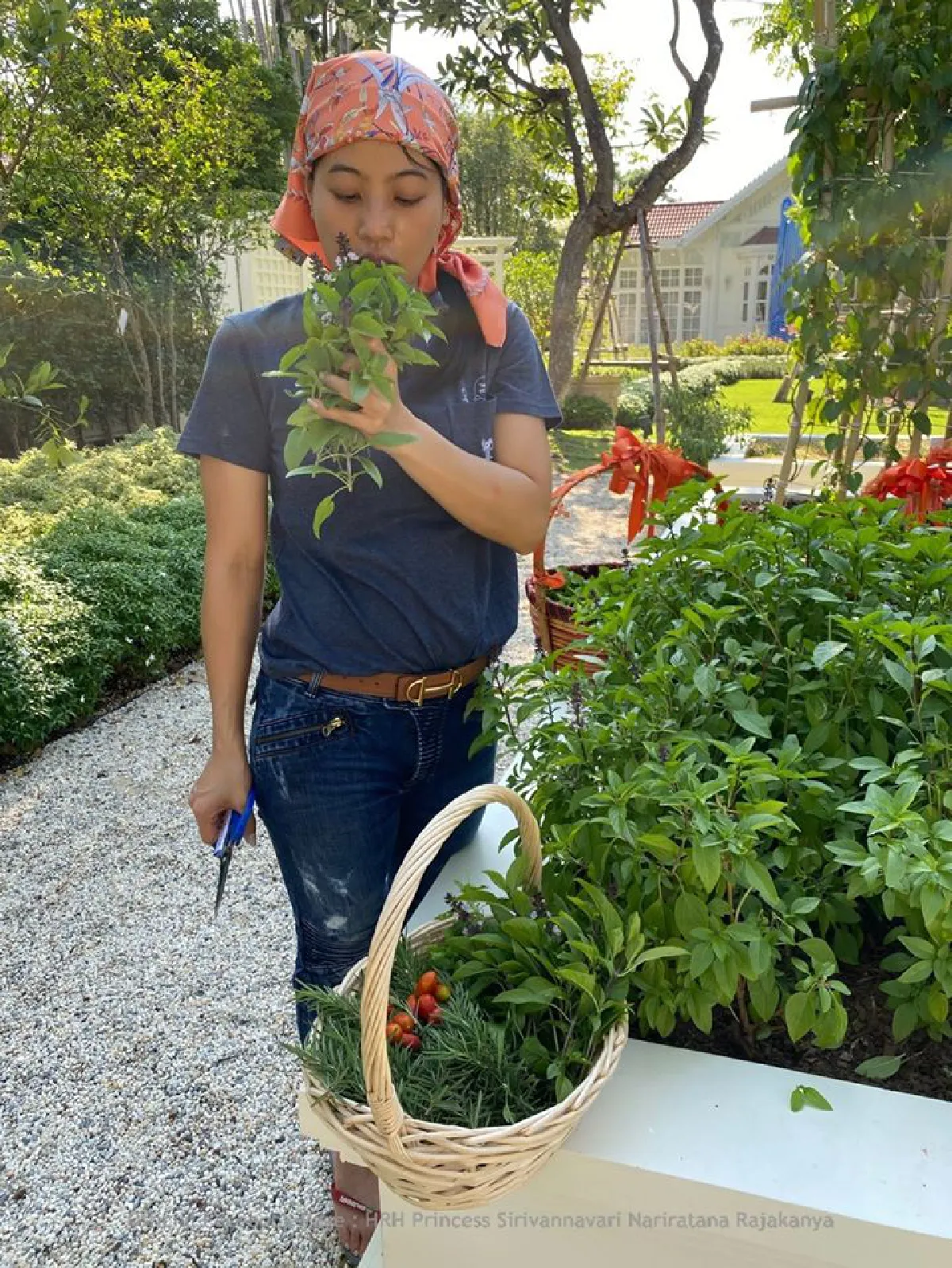 "เจ้าฟ้าสิริวัณณวรี" ทรงใช้เวลาว่างลุยทำสวน เก็บผักสวนครัวมาปรุงอาหาร 