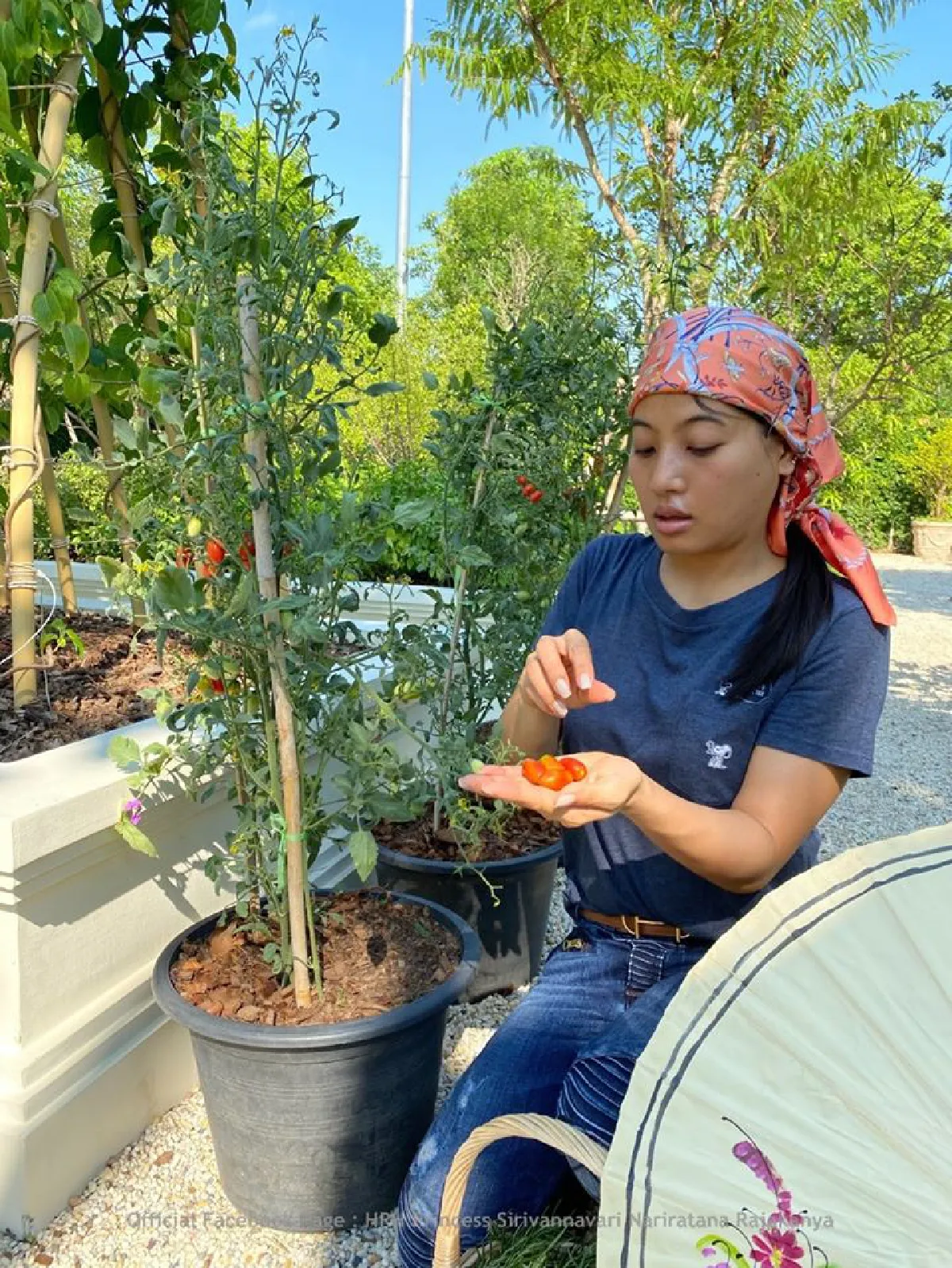 "เจ้าฟ้าสิริวัณณวรี" ทรงใช้เวลาว่างลุยทำสวน เก็บผักสวนครัวมาปรุงอาหาร 