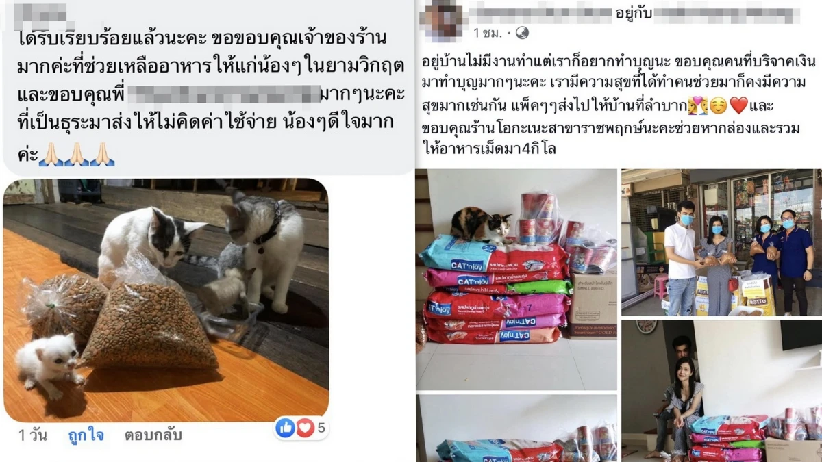 ‘แมว-หมา’ เขาก็หนึ่งชีวิตที่มีค่า! Okane Petshop แจกอาหารทาสสู้โควิด-19  