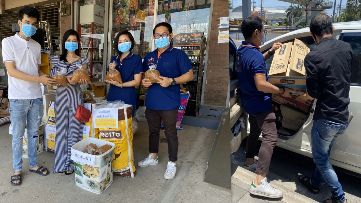 ‘แมว-หมา’ เขาก็หนึ่งชีวิตที่มีค่า! Okane Petshop แจกอาหารทาสสู้โควิด-19  