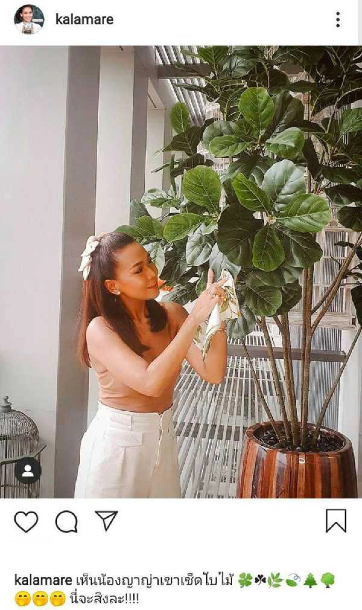 กาละแมร์ โคฟเวอร์เป็น ญาญ่า อุ้มต้นไม้โพสท่าสวย..จัดให้ตามคำท้า