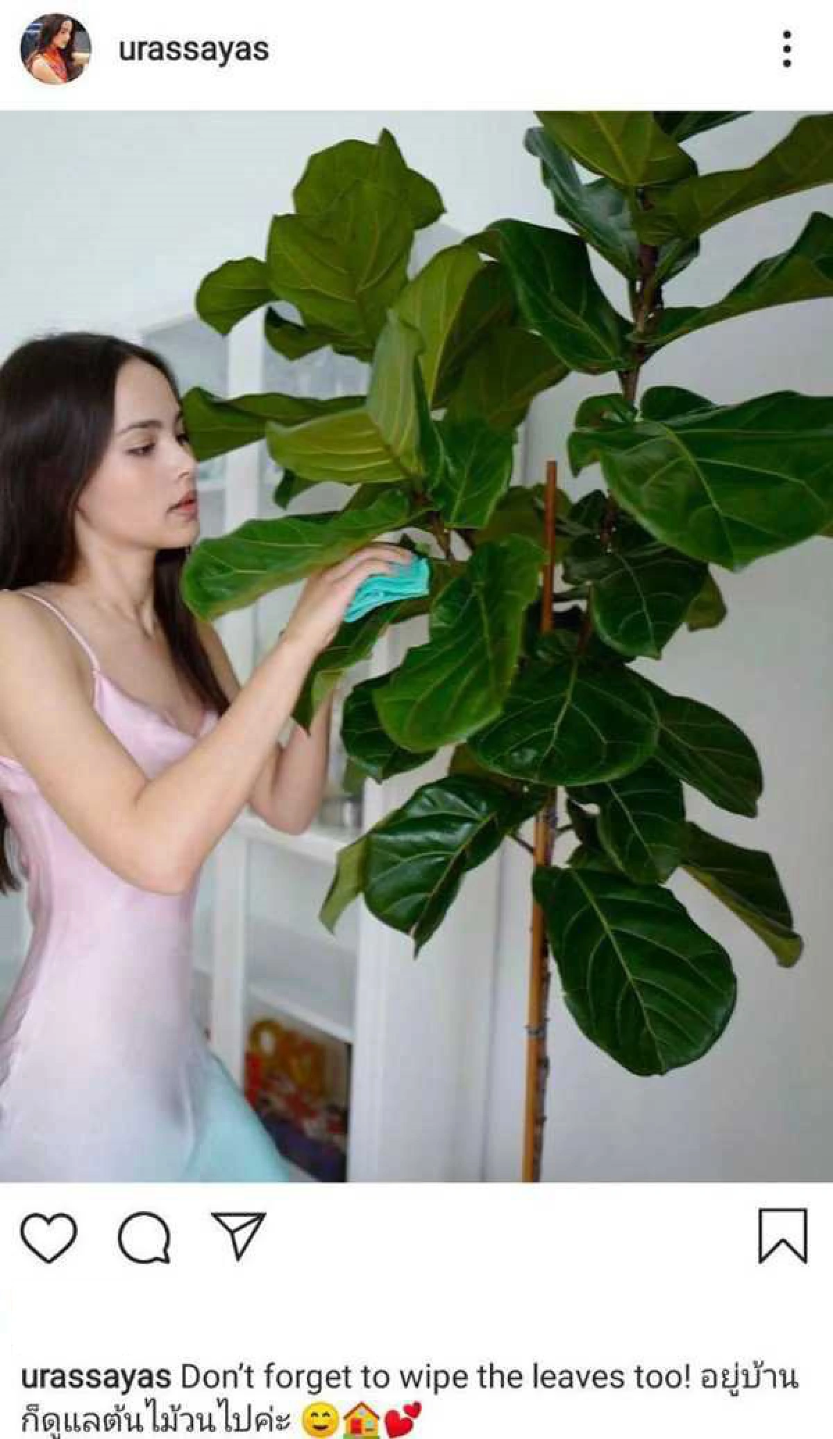 กาละแมร์ โคฟเวอร์เป็น ญาญ่า อุ้มต้นไม้โพสท่าสวย..จัดให้ตามคำท้า