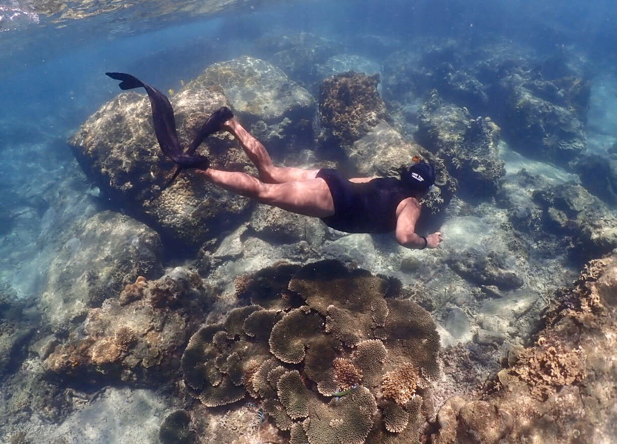 ตะลึง!เจอฝูงฉลามครีบดำร่วม 30 ตัวช่วงธรรมชาติใต้ท้องทะเลฟื้นตัว