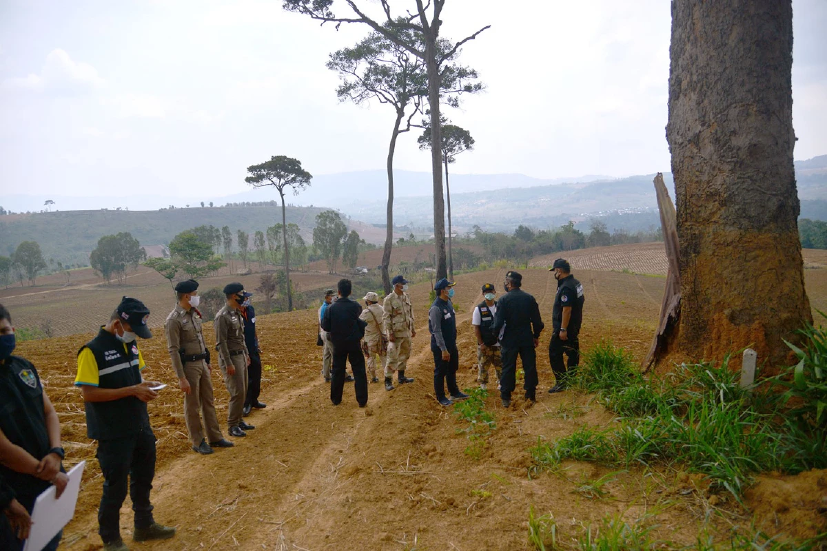 อดีตผู้สมัครส.ส.-เสี่ยร้านทองรุกป่าเขาค้อโค่นยางนาอายุกว่า100ปี
