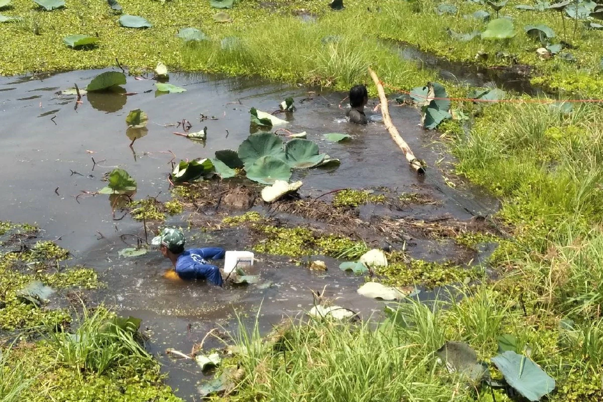 ชาวบ้านรวมพลังสร้างความมั่นคงทางอาหารสู้วิกฤตโควิด-19