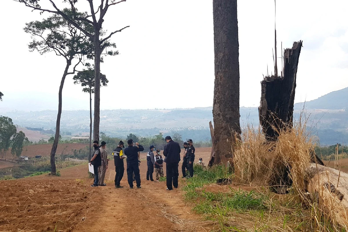 อดีตผู้สมัครส.ส.-เสี่ยร้านทองรุกป่าเขาค้อโค่นยางนาอายุกว่า100ปี