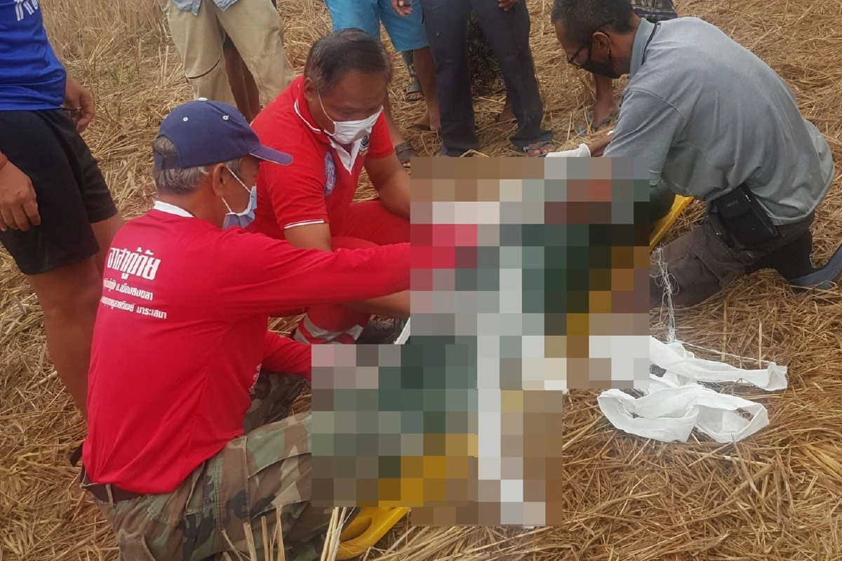 พารามอเตอร์ขัดข้องกลางอากาศตกทุ่งนา อดีตตำรวจสันติบาลดับ