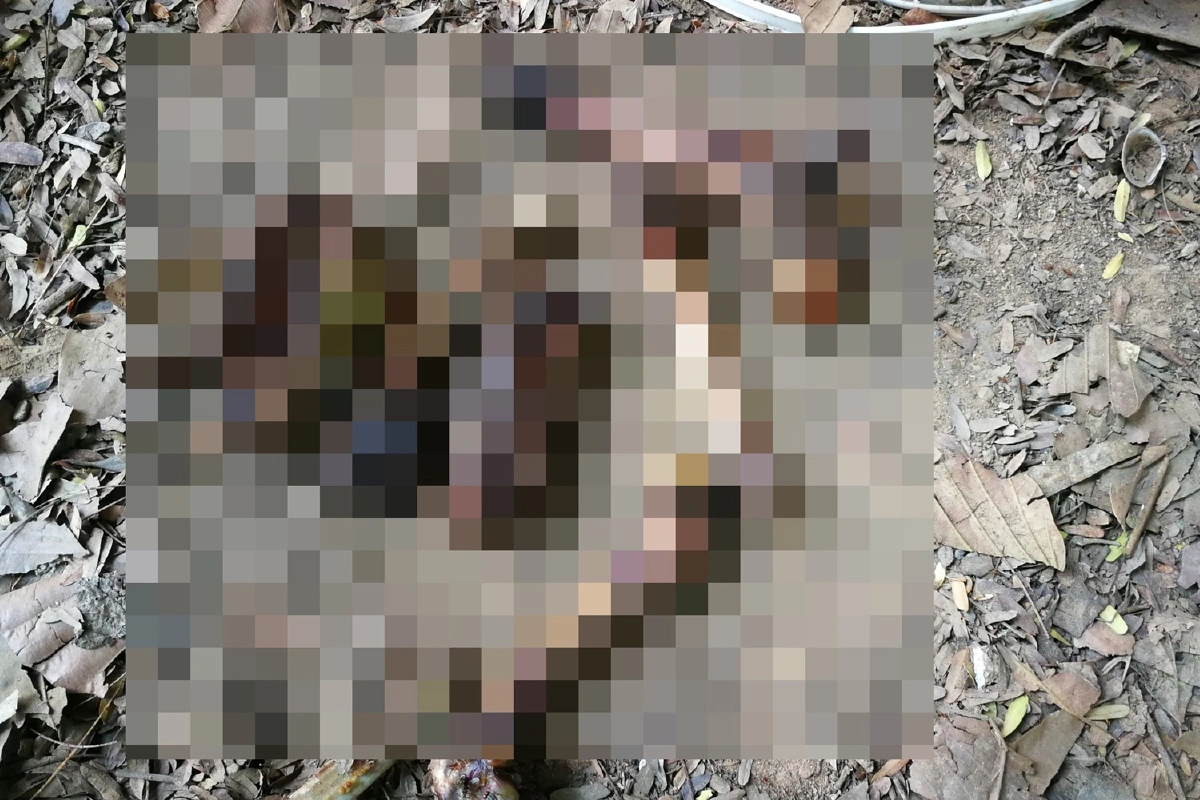 2หนุ่มสุดเหี้ยมฆ่าสุนัขต่อหน้าเจ้าของชำแหละเนื้อย่างกิน